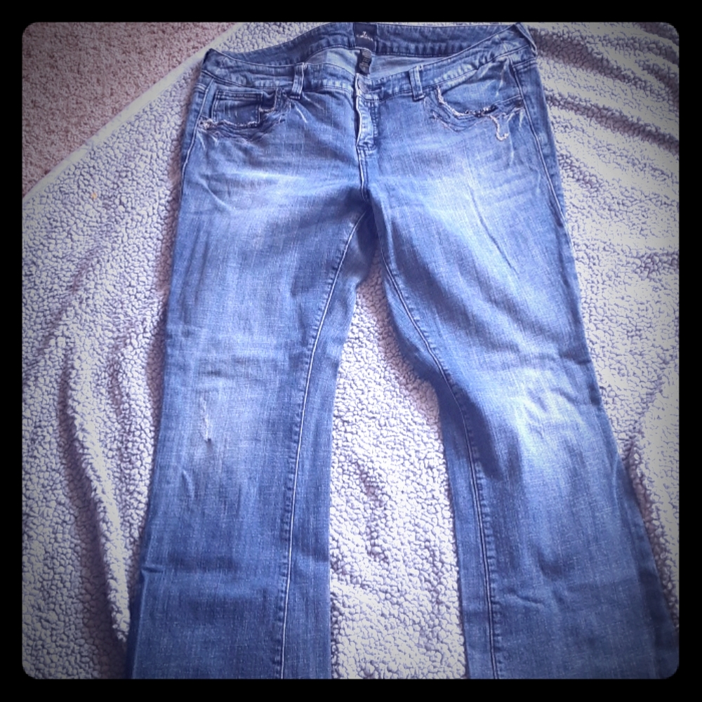 Torrid Z Cavarichi jeans